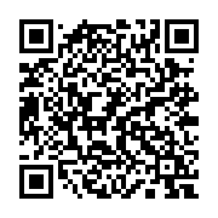 QR code for 161PJU