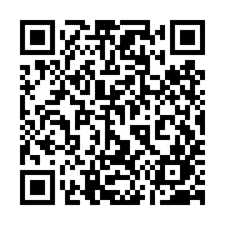 QR code for 173DYN