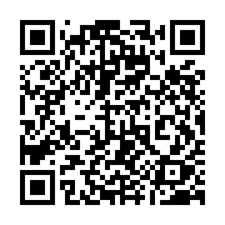 QR code for 193MAX