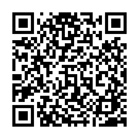 QR code for 196LUC