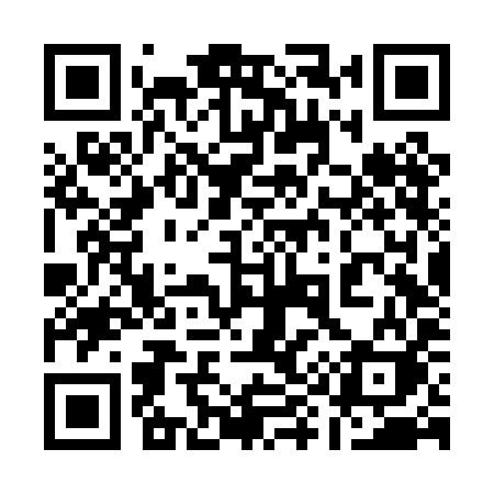 QR code for 196PIK