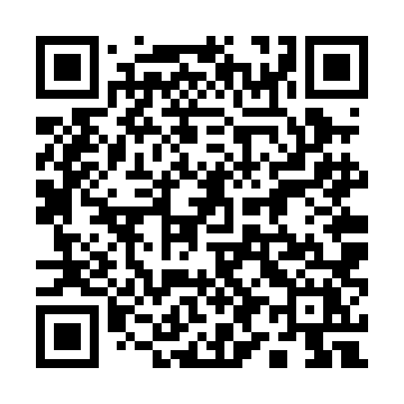 QR code for 196PLX