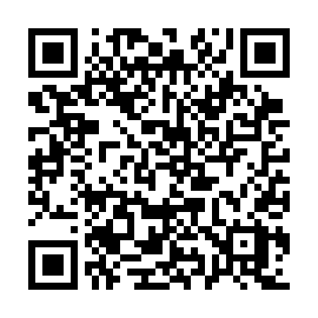 QR code for 196SDX