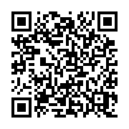 QR code for 196SIT
