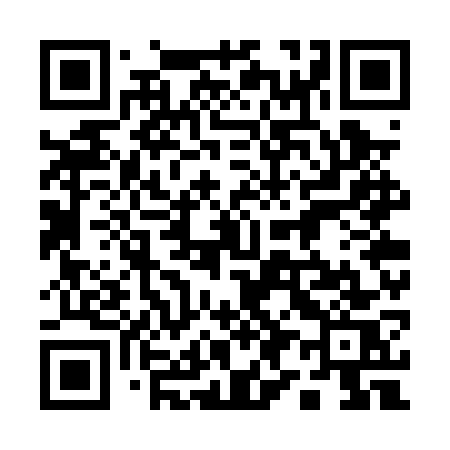 QR code for 197PWS