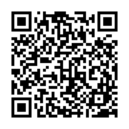 QR code for 199IDL