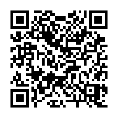 QR code for 203SGP