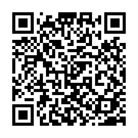 QR code for 206LPI