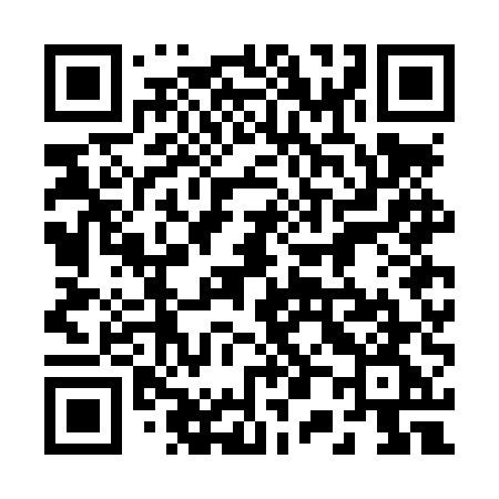 QR code for 207LUG