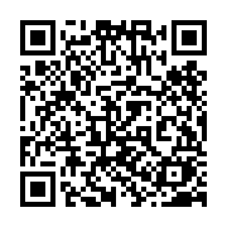 QR code for 209DOM