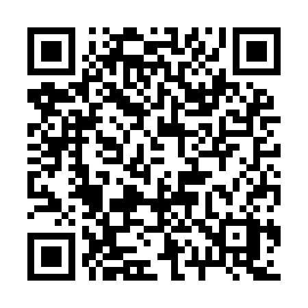 QR code for 213ICX
