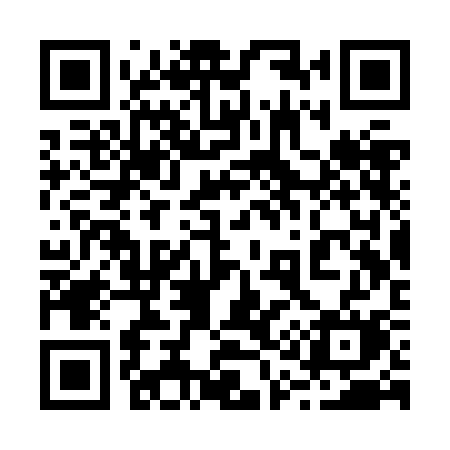 QR code for 213ZCM