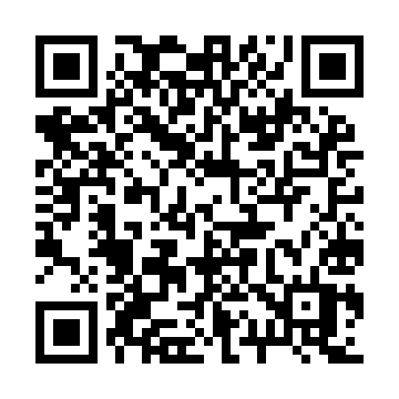 QR code for 217IIT