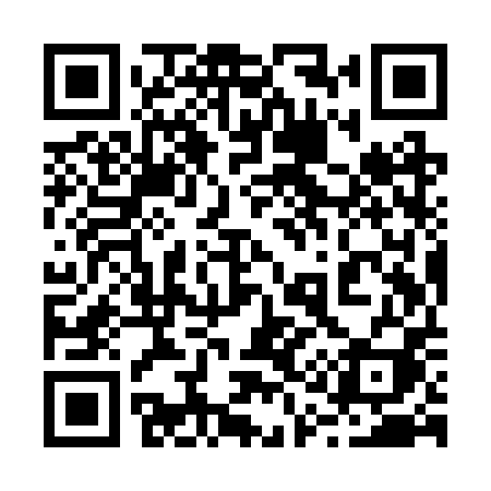 QR code for 219RPI