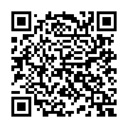 QR code for 220MCA