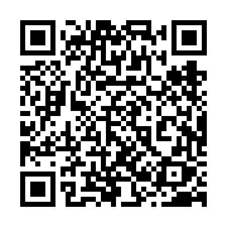 QR code for 220VFX