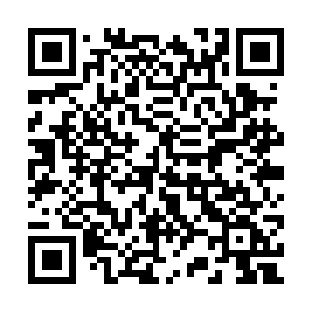 QR code for 221PGF