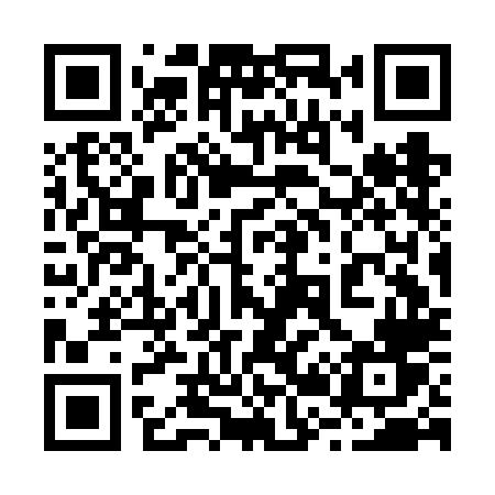 QR code for 223FLV