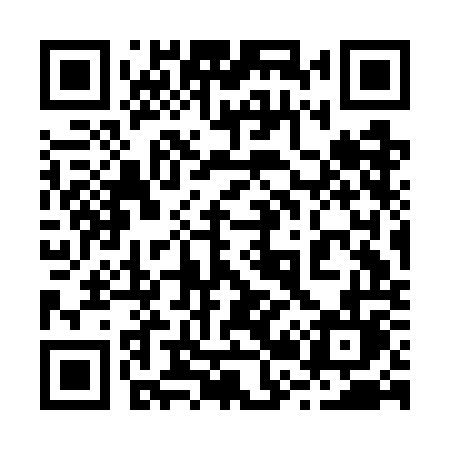QR code for 223GOL