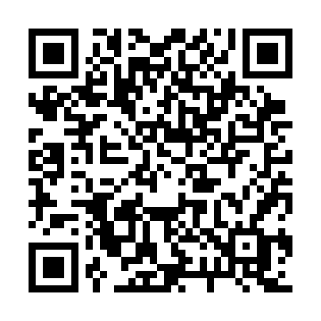 QR code for 223SFF