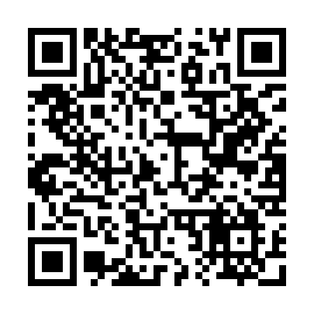 QR code for 224ICO