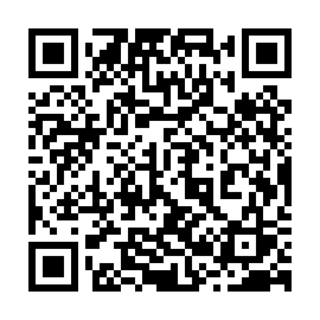 QR code for 225PSS