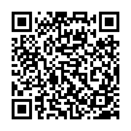 QR code for 225RUR