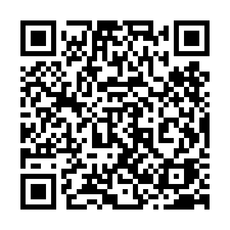 QR code for 225TCA