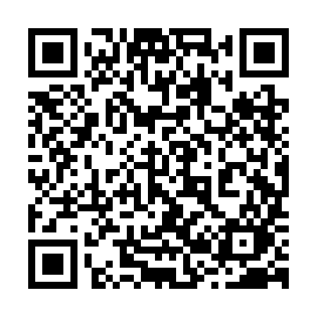 QR code for 228CIO