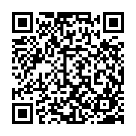 QR code for 228IAN