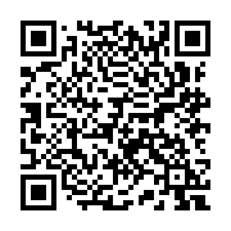 QR code for 228ICI