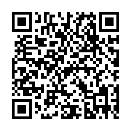 QR code for 228IZI
