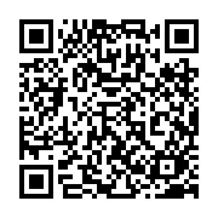 QR code for 228SAO