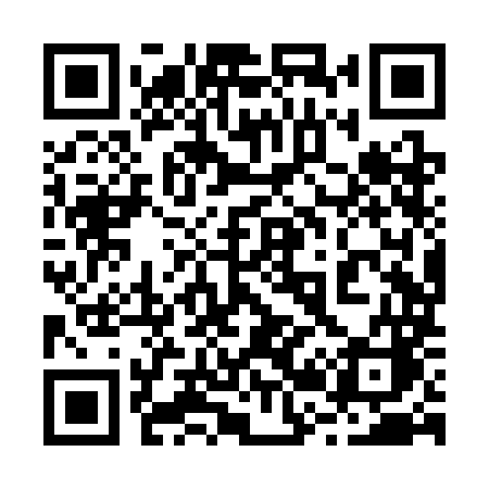 QR code for 228SMC