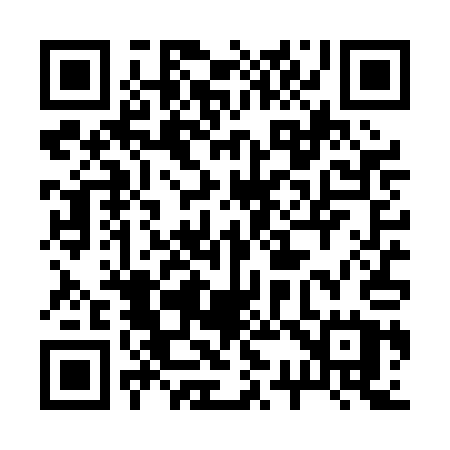 QR code for 234PAU