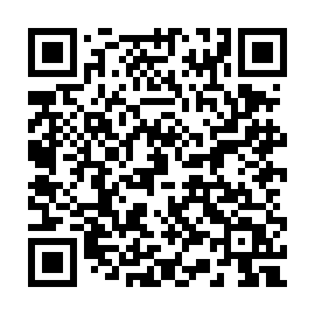 QR code for 238DET
