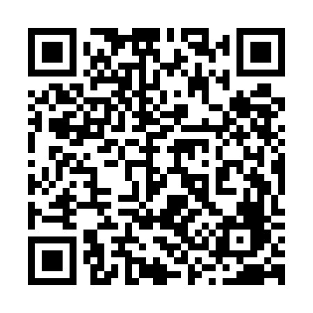 QR code for 239EFF