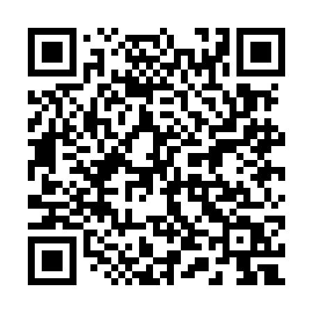 QR code for 241MGT