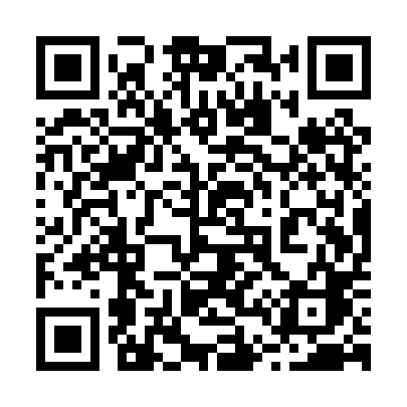 QR code for 241PPC