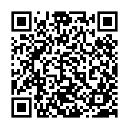 QR code for 246PIN