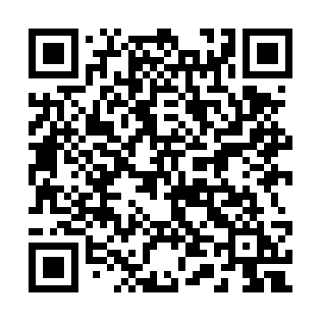 QR code for 249DSI