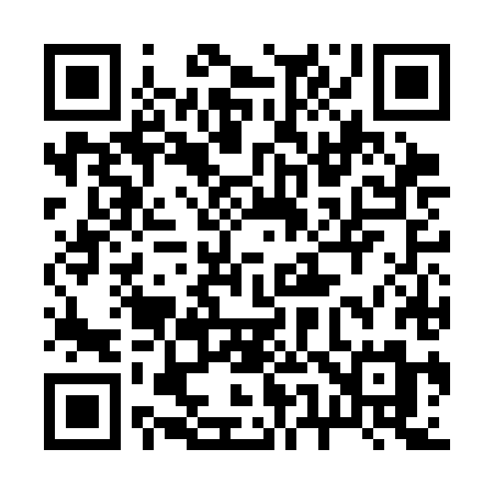 QR code for 256CHM