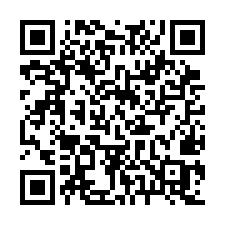 QR code for 256CMC