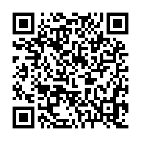 QR code for 256IGO