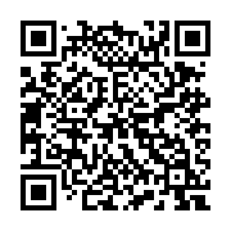 QR code for 272DAN