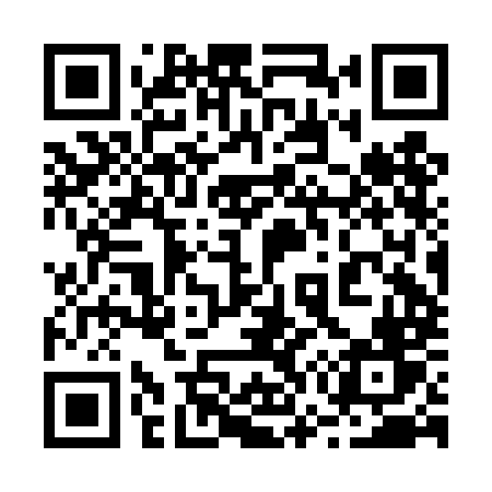 QR code for 272DMV