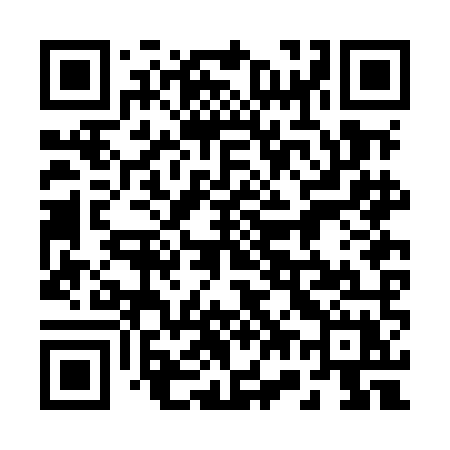 QR code for 272MMX