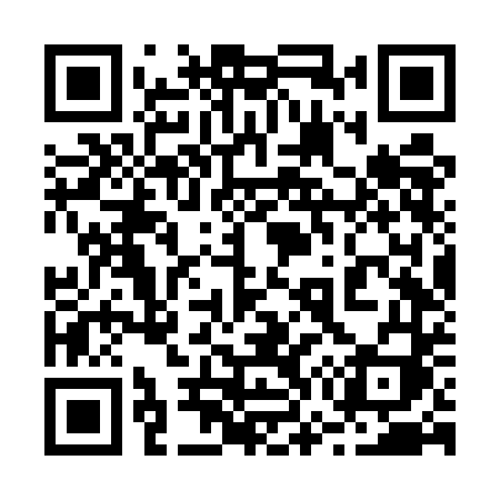 QR code for 276UDI