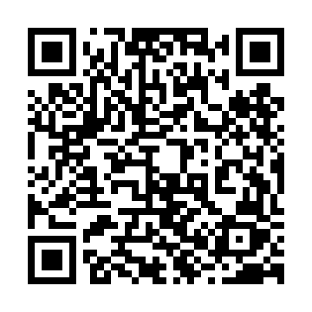 QR code for 289DFZ