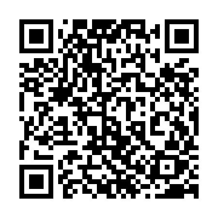 QR code for 289MIZ